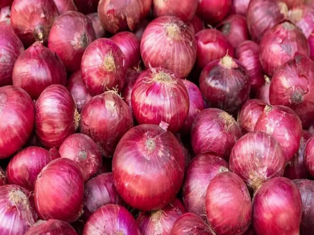 india-implements-40-export-duty-on-onion-price-control-and-local-market-focus